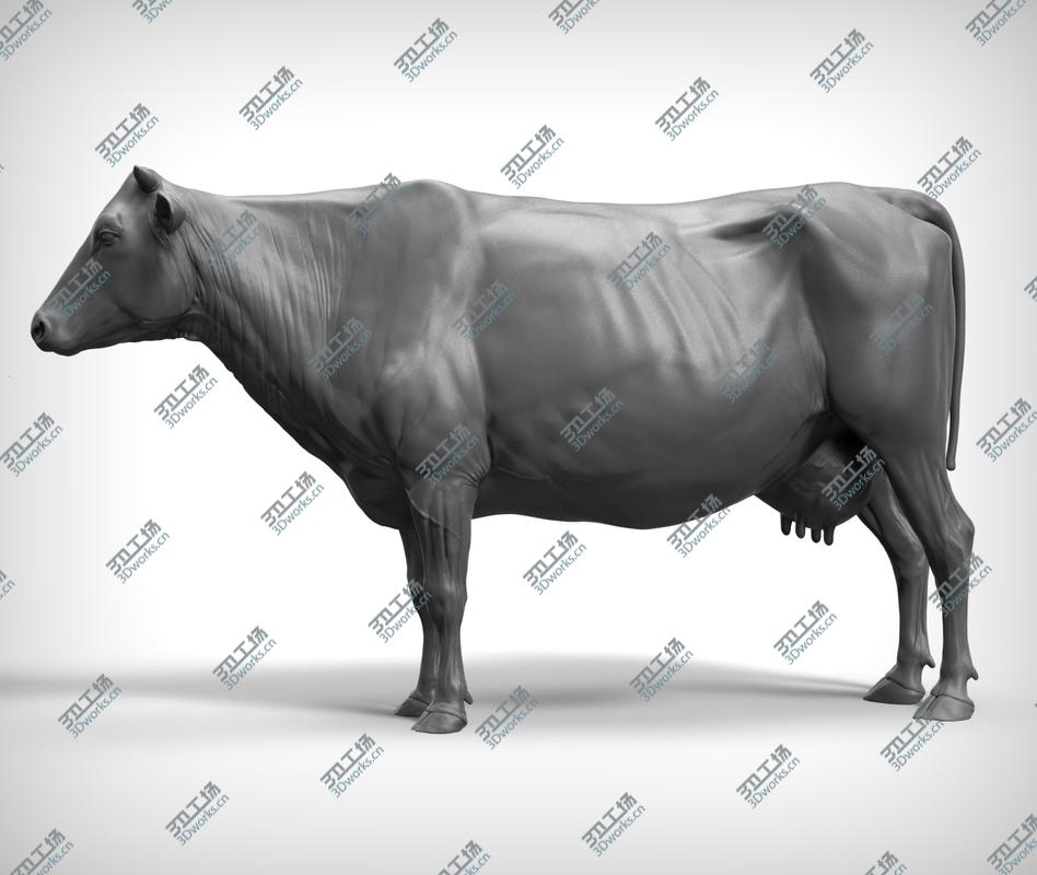 images/goods_img/2021040232/3D Cow Realistic/2.jpg